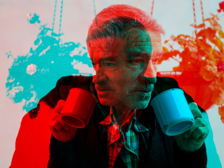 Ja çfarë është në të vërtetë një