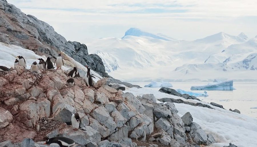Lajme n&euml; pak minuta: &Ccedil;far&euml; po ndodh n&euml; bot&euml;
