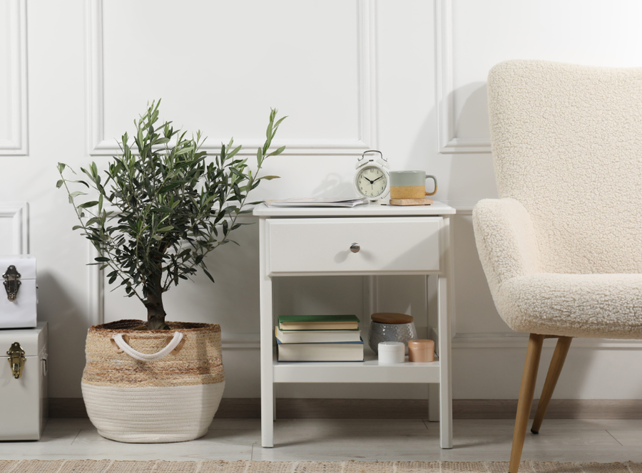 10+ lule q&euml; duhet t'i keni n&euml; sht&euml;pi p&euml;r fat t&euml;