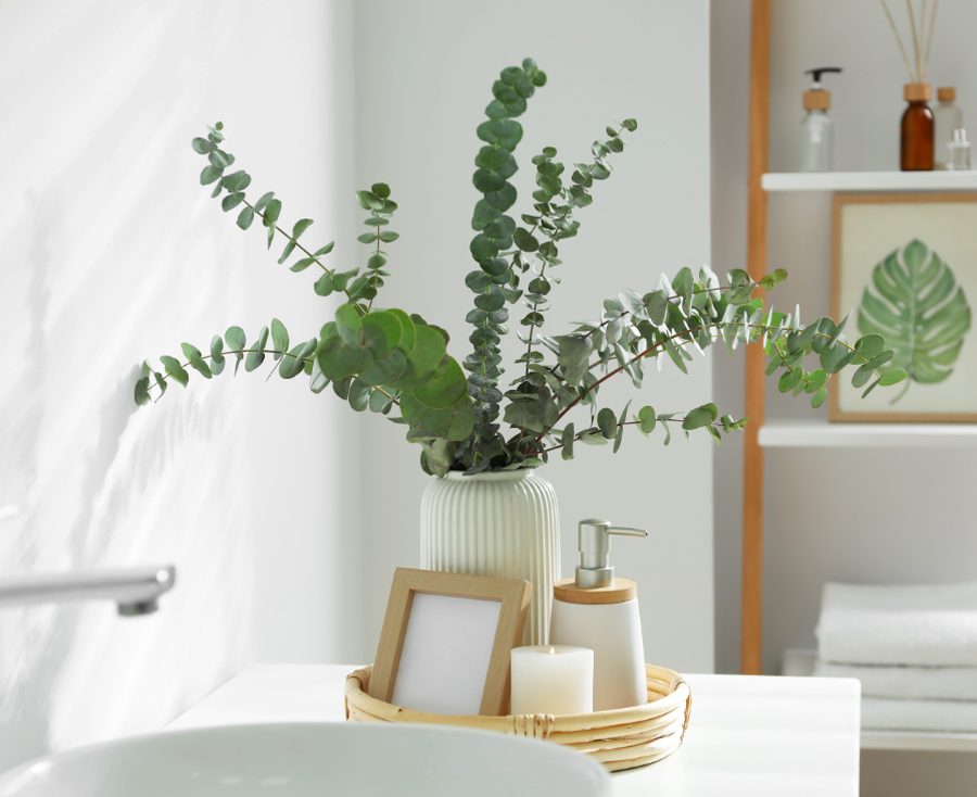 10+ lule q&euml; duhet t'i keni n&euml; sht&euml;pi p&euml;r fat t&euml;