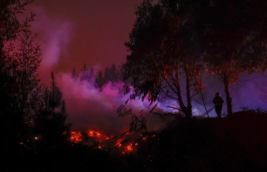 P&euml;rmes fotove: Bota n&euml; nj&euml; jav&euml;