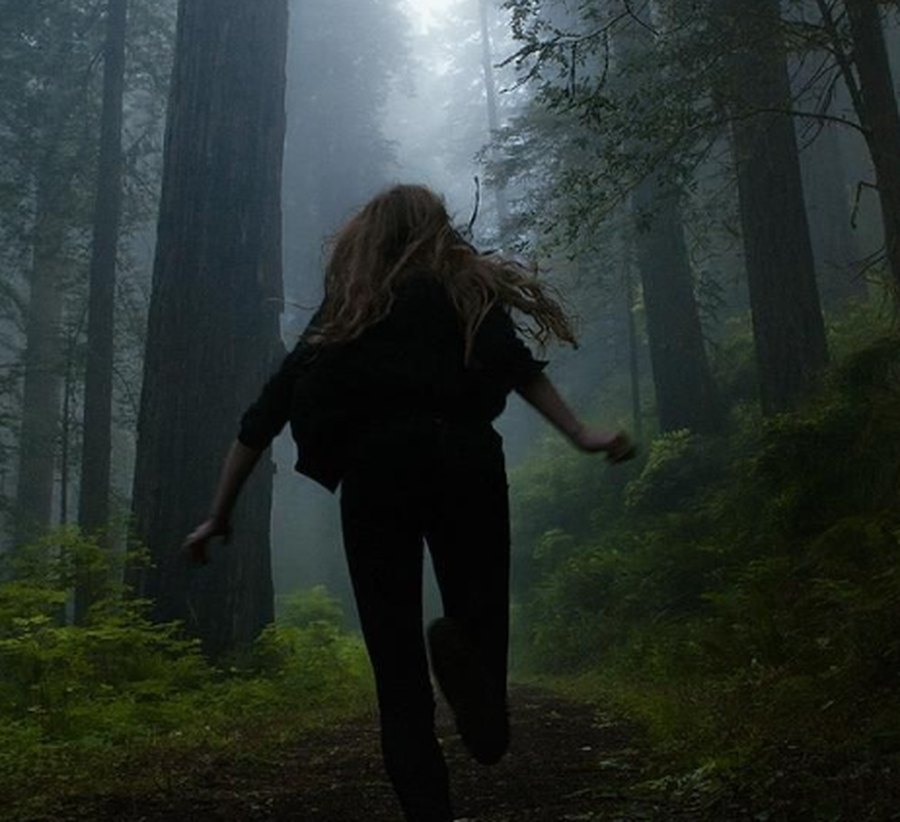 TEST: Ke humbur n&euml; mal p&euml;r 48 or&euml;. Sa jan&euml; shanset t&euml;