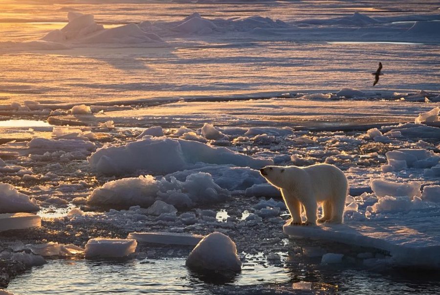 Lajme n&euml; pak minuta: &Ccedil;far&euml; po ndodh n&euml; bot&euml;