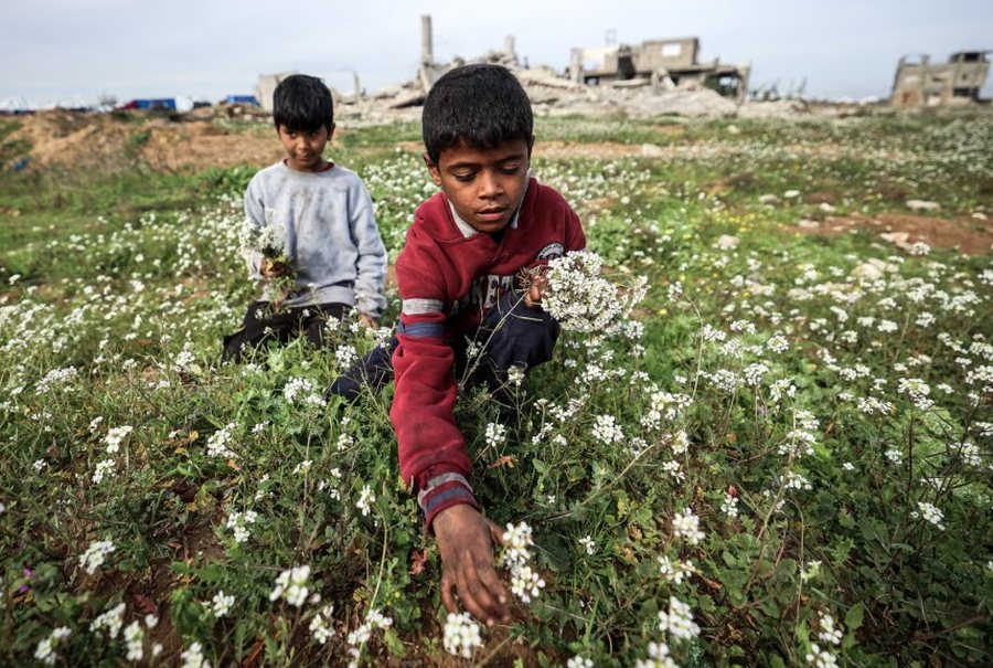 P&euml;rmes fotove: Bota n&euml; nj&euml; jav&euml;