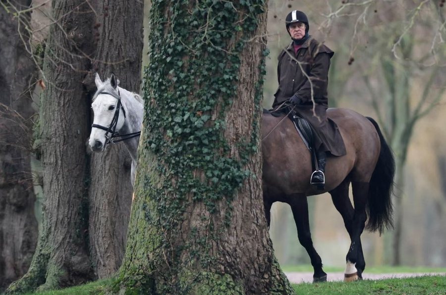 P&euml;rmes fotove: Bota n&euml; nj&euml; jav&euml;