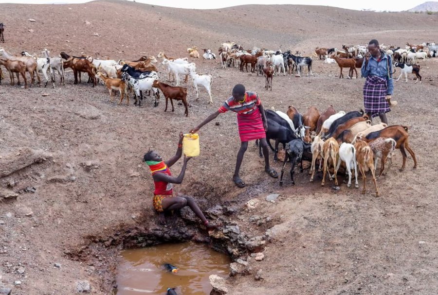 P&euml;rmes fotove: Bota n&euml; nj&euml; jav&euml;