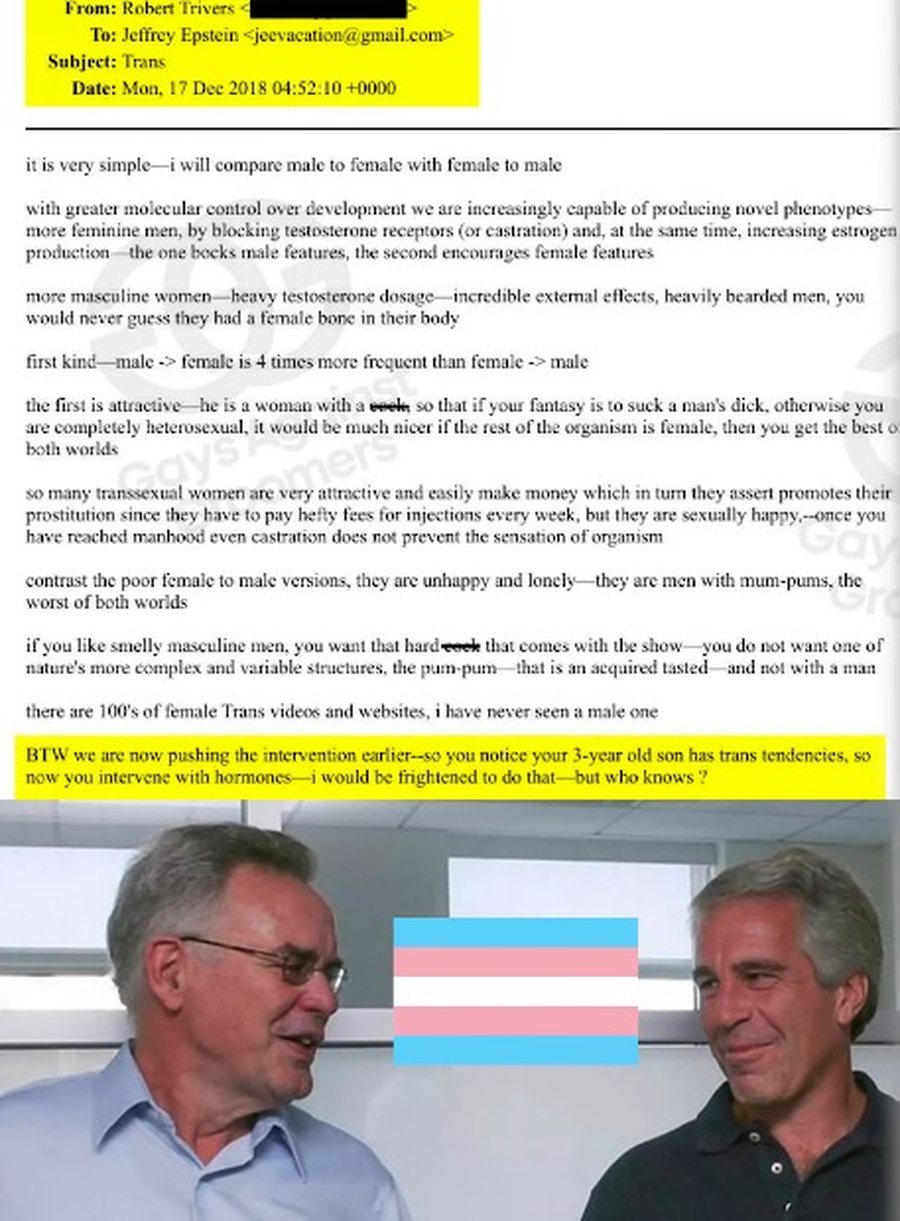 Gjith&euml; teorit&euml; konspirative rreth Jeffrey Epstein q&euml; u