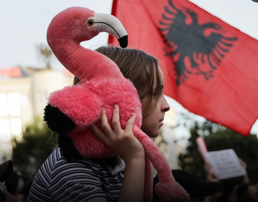 Revolucioni i Flamingove po ngre një pyetje më të madhe për