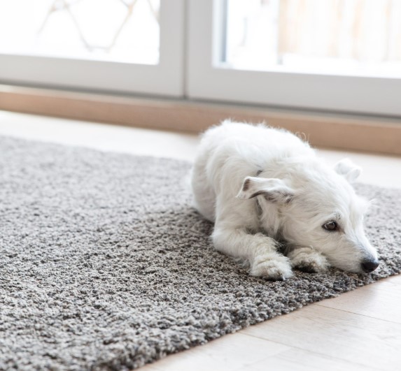 10 smart ways to clean your house with baking soda
