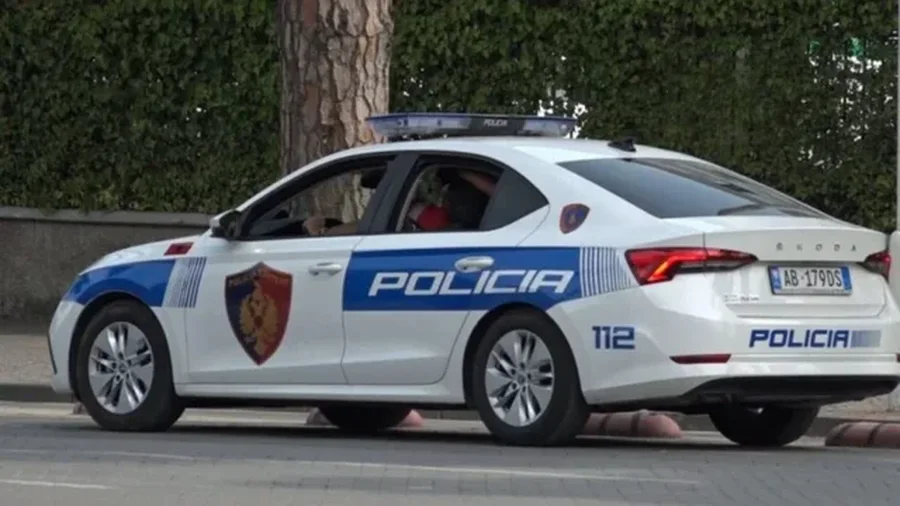 Dhunë në familje dhe shkaktim i vetëvrasjes, arrestohet babai i