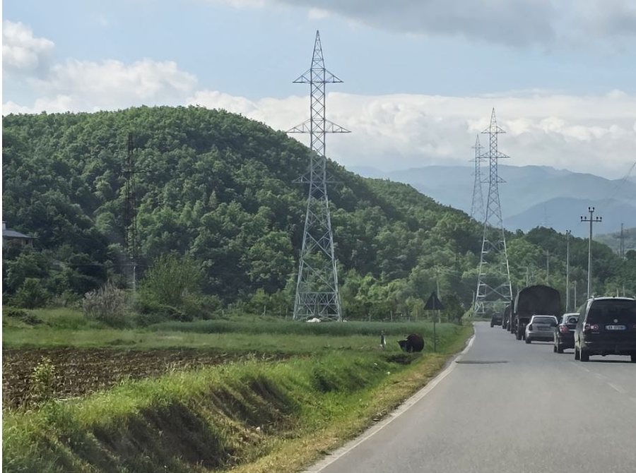 Klos/ Asnjë gjurmë e 29-vjeçarit, në mbështetje