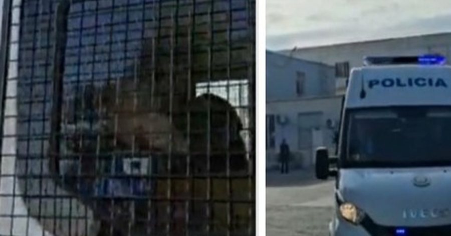 "Lali Eri do dali sot e? Ah sa mirë...", MOMENTI kur Veliaj