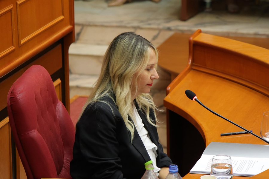 Aplikimi p&euml;r kredit&euml; e buta n&euml; Tiran&euml;, Ristani: Ja si do