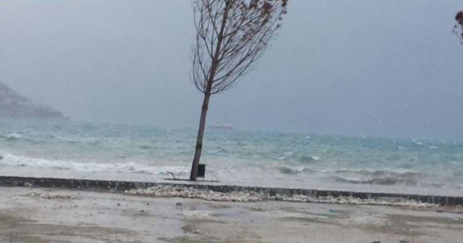 Vlora do të përshihet nga rreshje intensive shiu, Bashkia