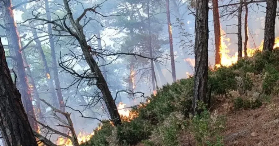 FOTOT/ Sulm me dron pranë rezidencës së Putinit, flakë