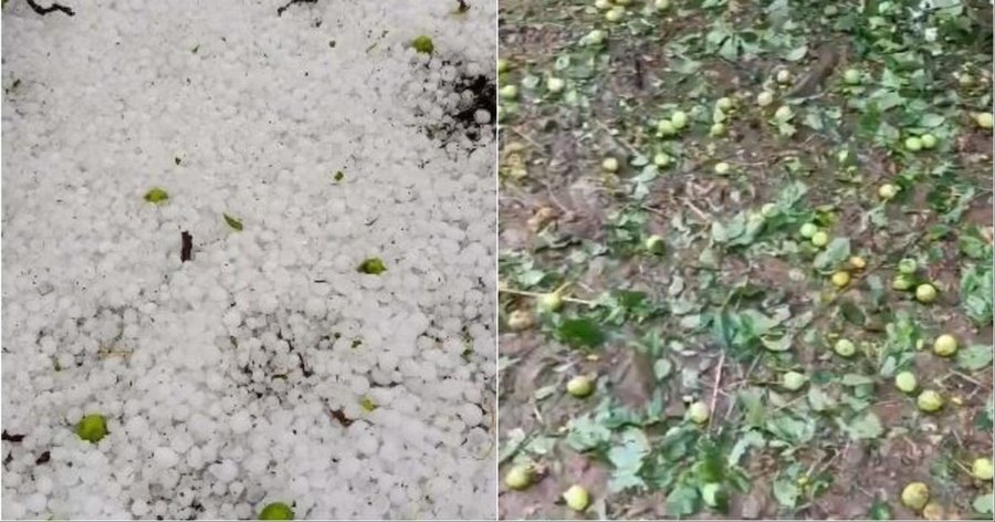 Stuhia e bresh&euml;rit n&euml; Zavalin&euml; shkakton d&euml;me t&euml;