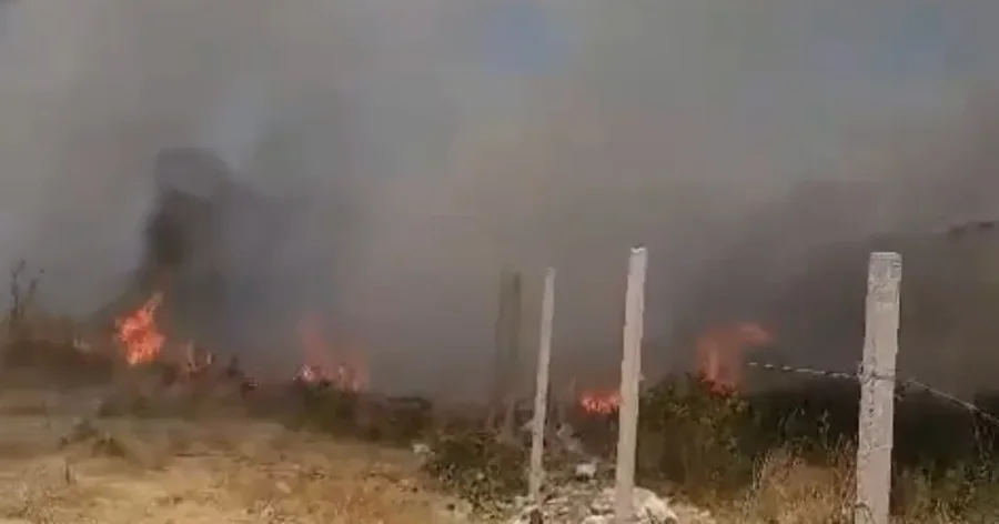 Zjarr n&euml; periferi t&euml; Vlor&euml;s/ Era dhe temperaturat e larta