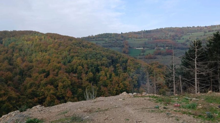 Dyshime për varrezë masive, të mërkurën nisin