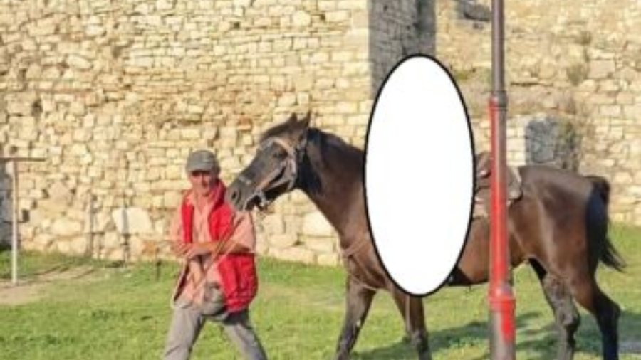 Vrau turistin me thikë, publikohet FOTO e autorit të krimit në