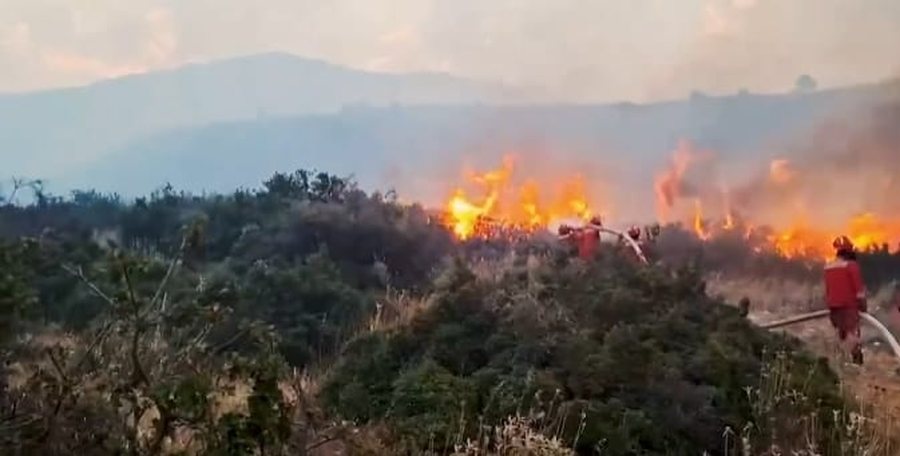 Rreziku nga zjarret/ Paralajm&euml;ron Lamallari: Zjarrv&euml;nia