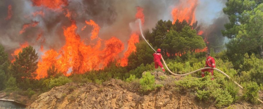 Situata me zjarret/ Ministria e Mbrojtjes: 37 vatra të raportuara në