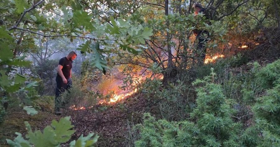 Vendi sot ishte nën "pushtetin" e 47 vatrash zjarri, aktive