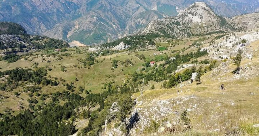 Të shtëna me armë zjarri në bjeshkët e Munellës,