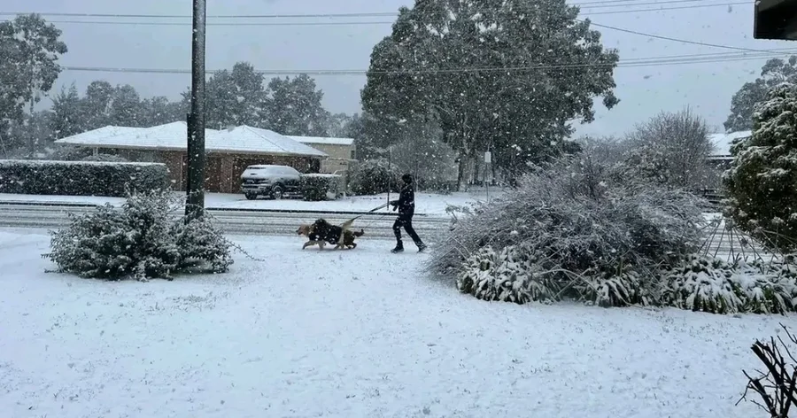 VIDEO+FOTO/ Australia lindore përballet me reshjet më të dendura