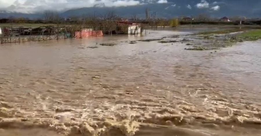 Situatë ALARMANTE në Pogradec/ Përroi i Vërdovës del