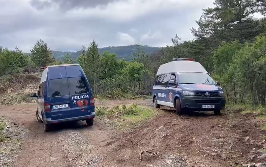 DETAJE/ Vrau nj&euml; polic dhe plagosi nj&euml; tjet&euml;r! E shkuara
