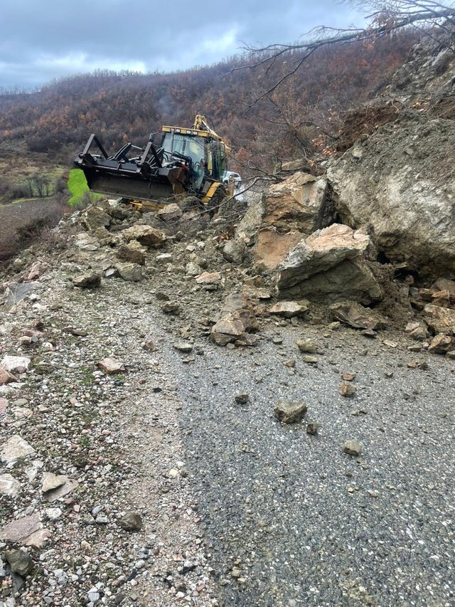 FOTOLAJM/ Rr&euml;shqet masivi shk&euml;mbor n&euml; rrug&euml;n