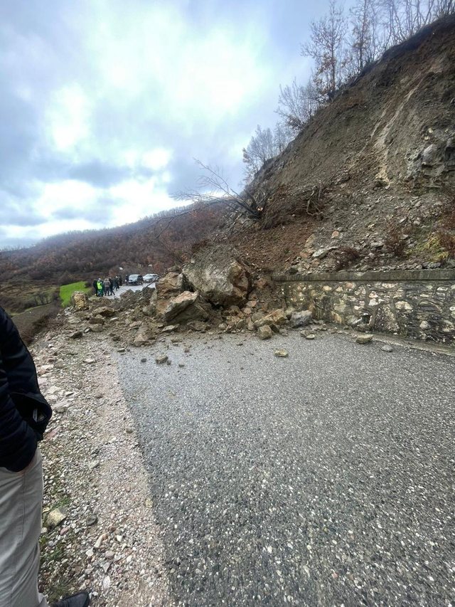 FOTOLAJM/ Rr&euml;shqet masivi shk&euml;mbor n&euml; rrug&euml;n