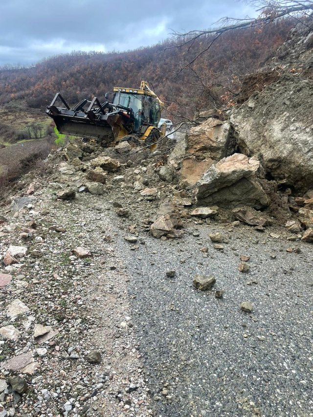 FOTOLAJM/ Rr&euml;shqet masivi shk&euml;mbor n&euml; rrug&euml;n