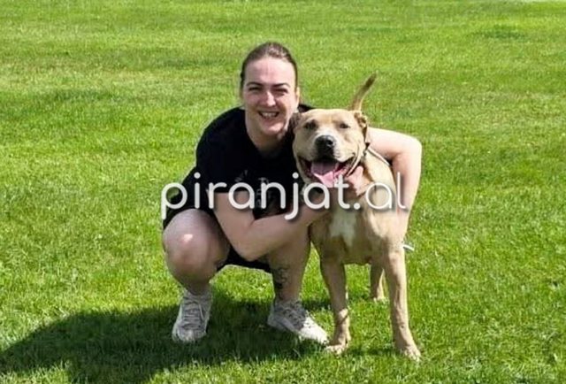 E adoptoi qenin përmes Facebook-ut, 32-vjeçarja sulmohet brutalisht