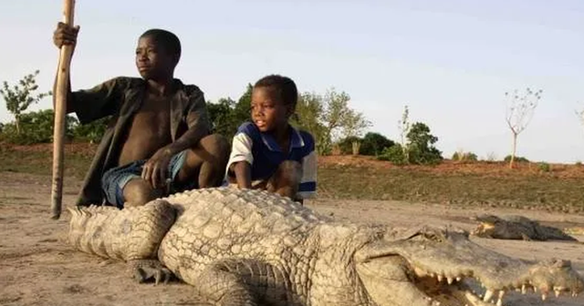 “Fshati i krokodilëve” në Burkina Faso, i cili tërheq
