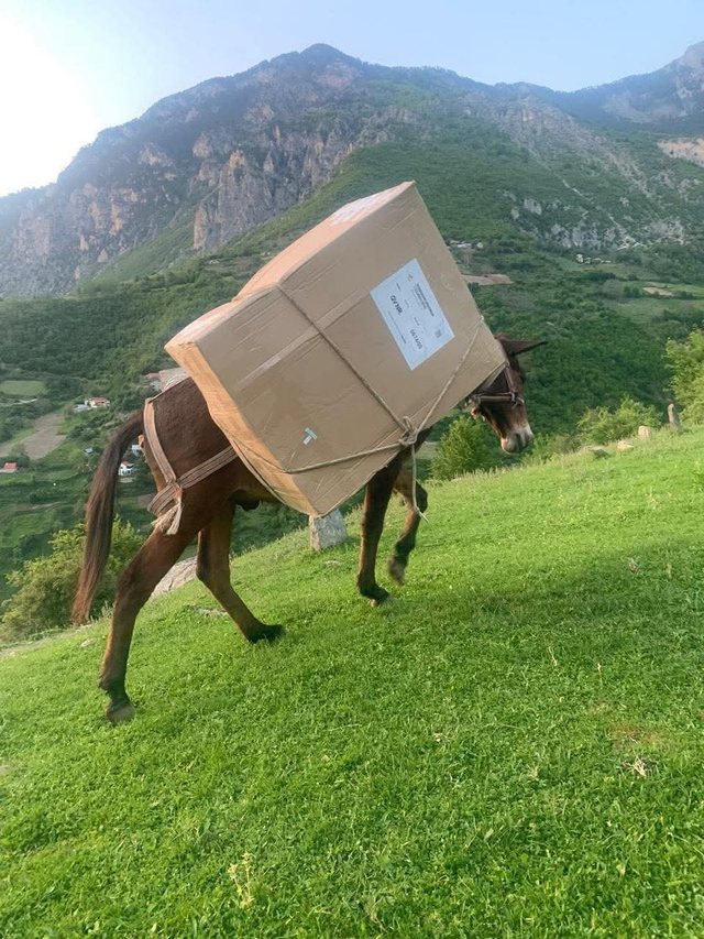 FOTOLAJM/ Fletët e votimit në Zapod të Kukësit