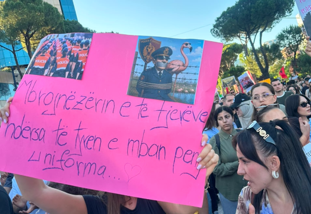 "Gati t&euml; japim jet&euml;n p&euml;r Shqip&euml;rin&euml;",