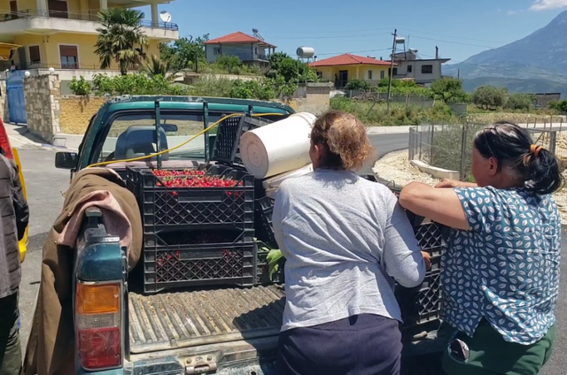 Qershia po na kalbet n&euml; pem&euml;'/ Fermer&euml;t e Drobonikut: Po