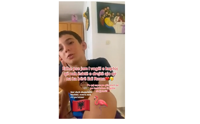 Përlotet vogëlushi në rrjetet sociale: Nuk është e