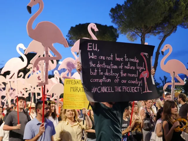 'Revolucioni i Flamingo-ve'/ BBC: Mijëra njerëz