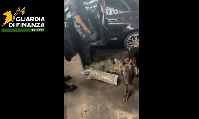 Operacioni ‘King George’ - Antimafia italiane: Të rinjtë