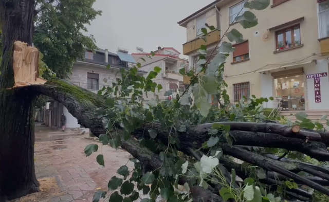 Kor&ccedil;&euml;/ Pema rrezohet n&euml; trotuar, bllokon kalimin e