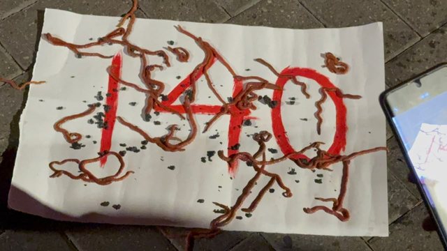 Simbolika n&euml; bulevard, protestuesit vendosin &ldquo;140 krimba&rdquo;