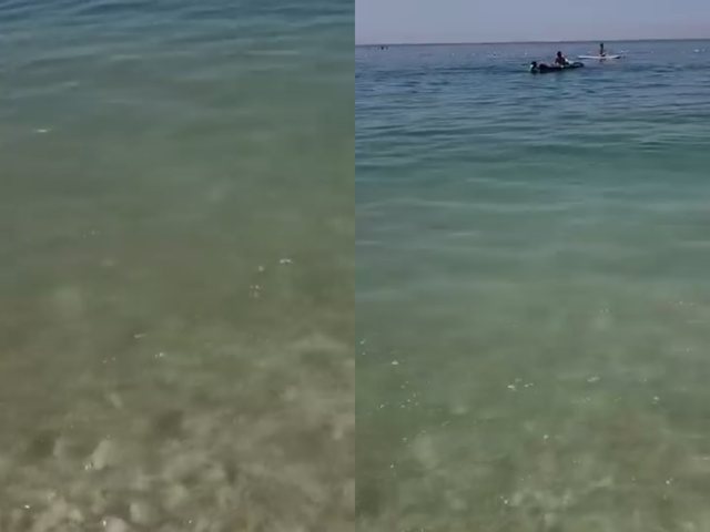 Ndotje alarmante n&euml; plazhin e Potamit, pushuesit: Nuk lahemi dot n&euml;