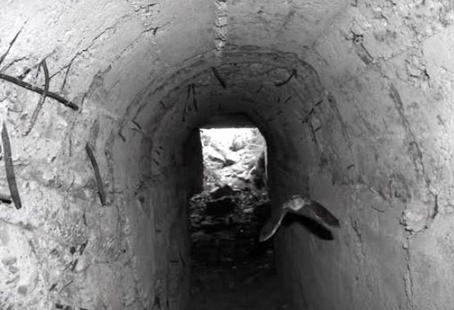“Kur u mësua në Tiranë se ne ndërtuam një tunel