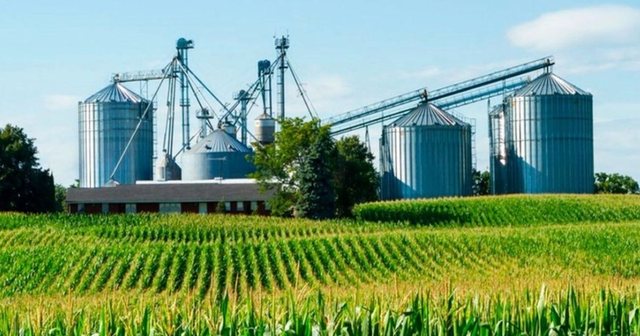 Analiza: Shqipëria me agroindustrinë më të pazhvilluar