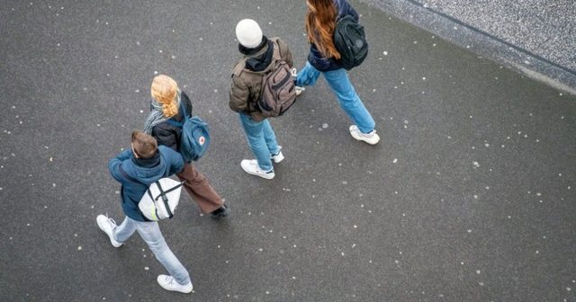 Statistikat e 2025/ Një në pesë të rinj në