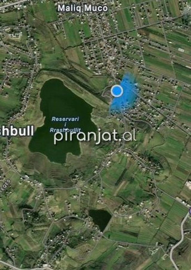 VIDEO/ "Po qelbemi për ujë prej pesë ditësh",