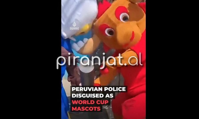 VIDEO/ Polic&euml;t vishen si &lsquo;maskota&rsquo; n&euml; Kup&euml;n e
