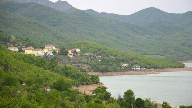 Palombarët dhe efektivë të policisë vijojnë
